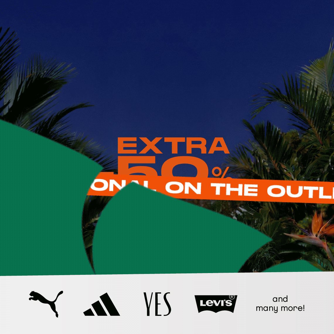 gif with informations about jungle night