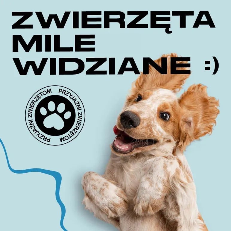 Zwierzęta mile widziane